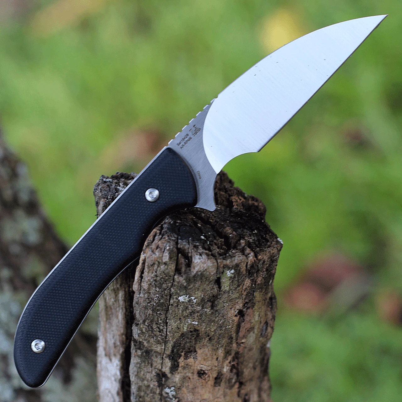 Artisan Cutlery Sea Snake Fixed Blade Knife 1842B-BK, 3.15" AR-RPM9 Satin Wharncliffe Blade, Black G-10 Handle - Image 2