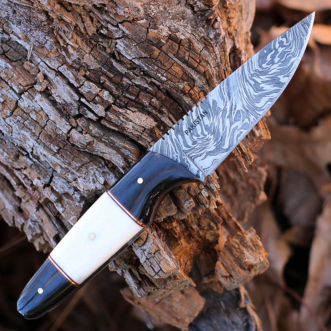 Damascus Blades - Buffalo/Camel Bone (4.5" Damascus) 1293BO - Image 2