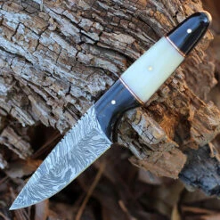 Damascus Blades - Buffalo/Camel Bone (4.5" Damascus) 1293BO