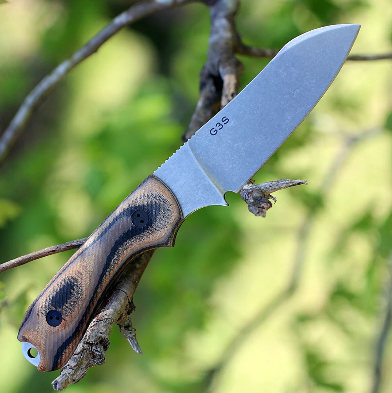 Bradford Guardian3 3D, 3.625" N690 Sheepfoot Blade, G-Wood Handle - Image 2