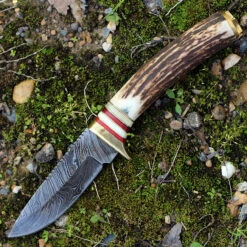 Damascus 1046 Whitetail Skinner, 3.75" Damascus Plain Blade, Round Stag Handle