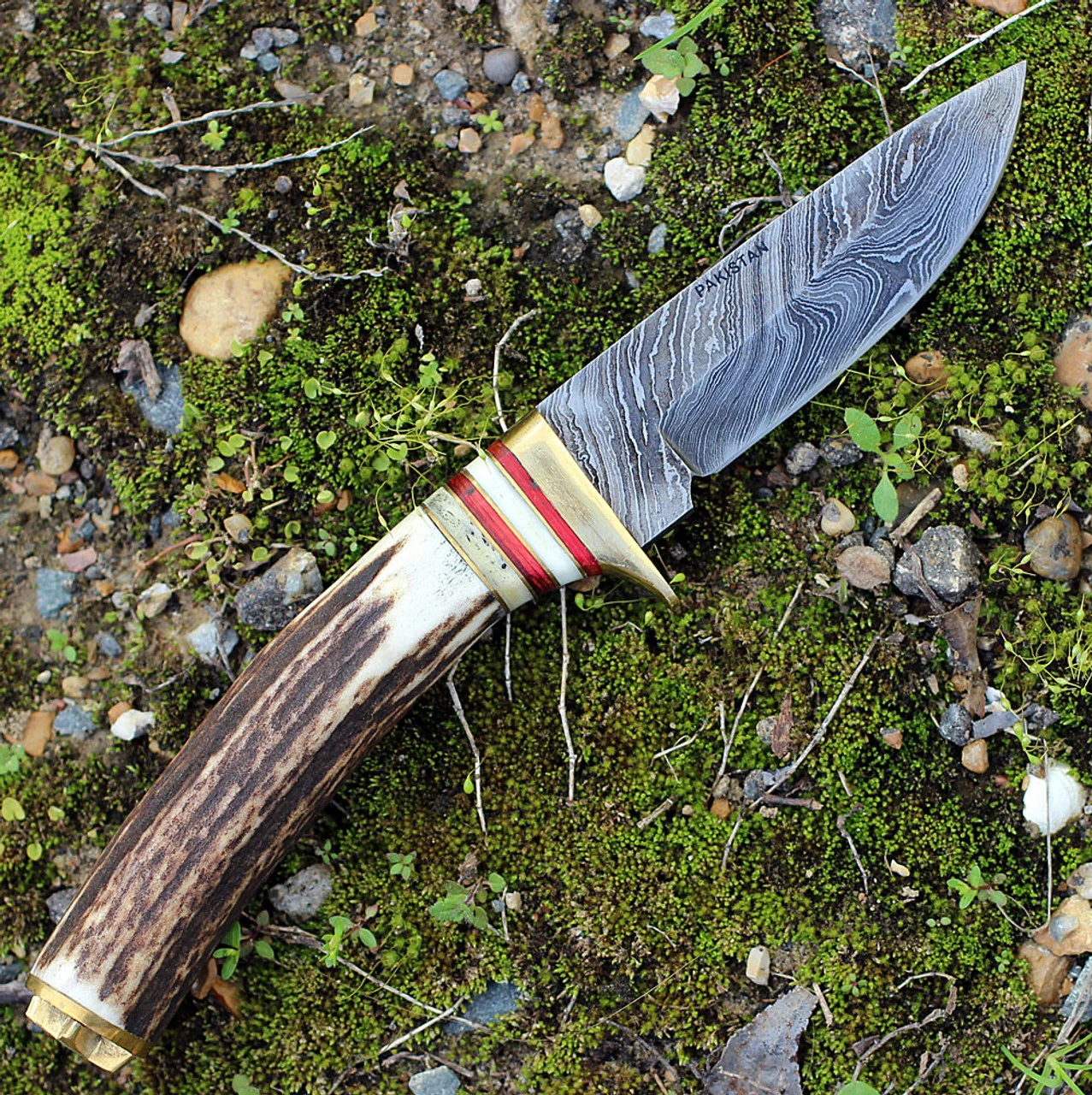 Damascus 1046 Whitetail Skinner, 3.75" Damascus Plain Blade, Round Stag Handle - Image 3